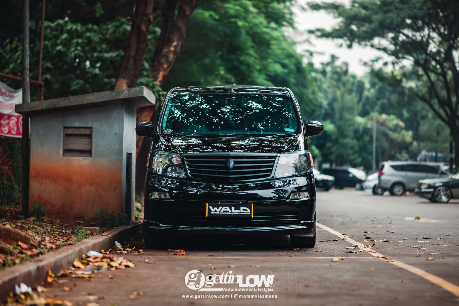 GETTINLOW SUNDAY PHOTOSHOOT 30 JAN 2025